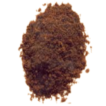 Saptmratika
